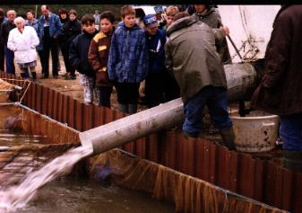 Retour dans les bassins