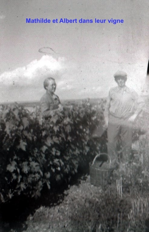 Mathilde et Albert dans la vigne