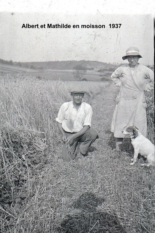 Albert et Mathilde en moisson