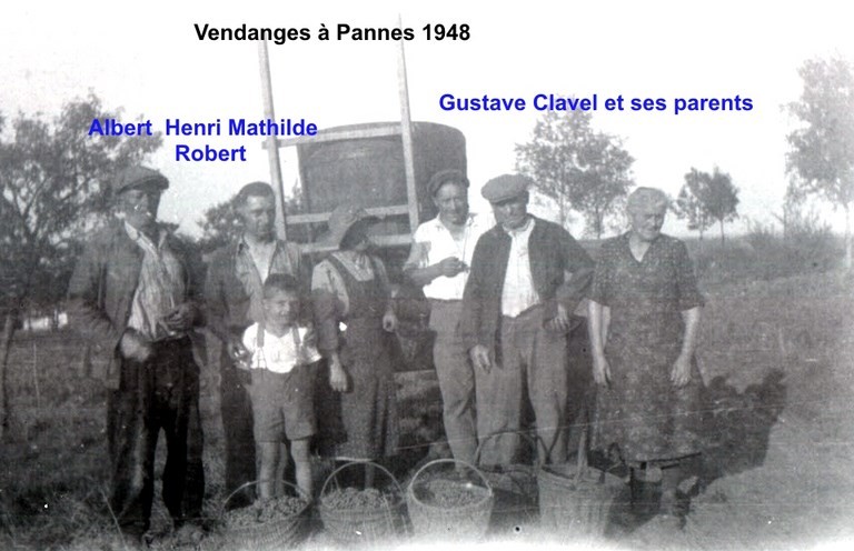 Les vendanges 